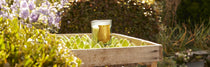 Introducing Figuerie: Trudon’s fig scent designed to bring the outdoors, in