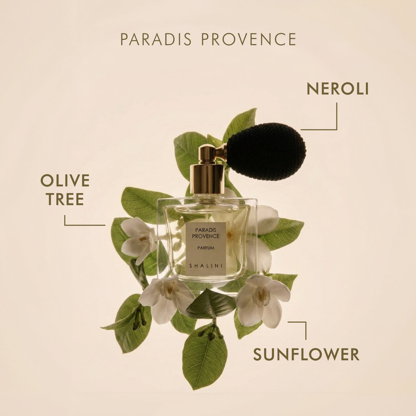 Paradis Provence Parfum
