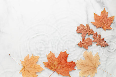 How to prepare your skin for Autumn