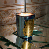 Fir Candle