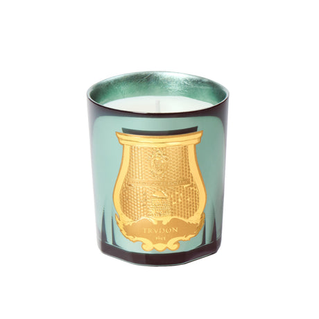 Limited Edition Trudon Fir Candle