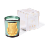 Fir Candle